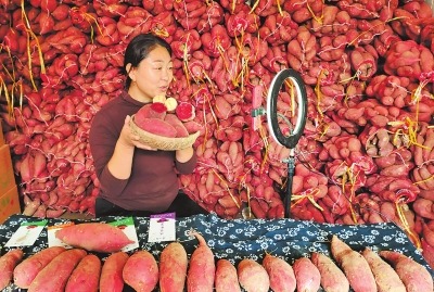 直播带货 农民增收致富