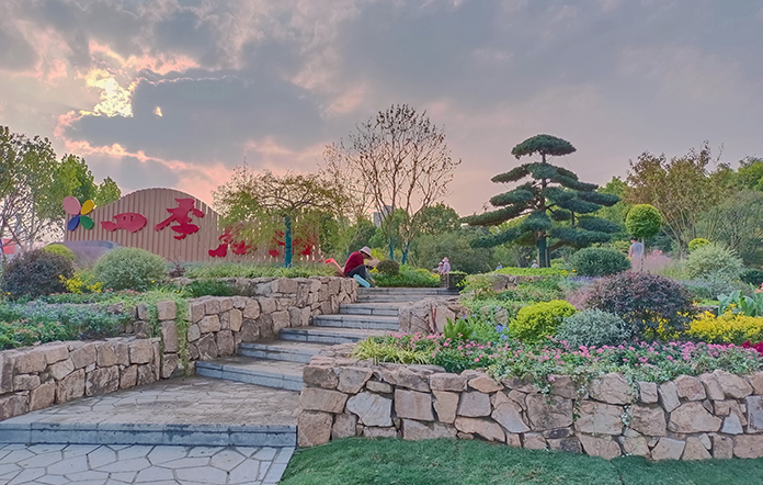 合肥四季花海公園「上新」 繽紛色彩綻新顏