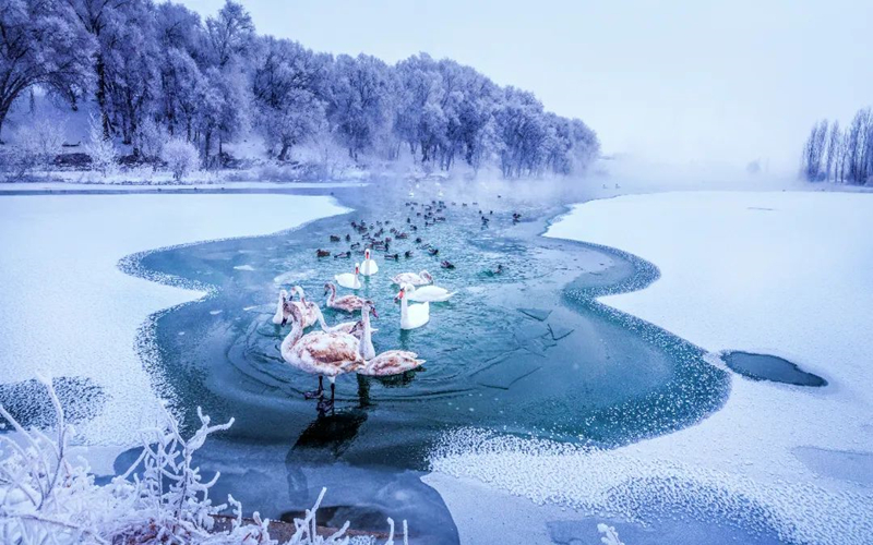 带你认识新疆的50种模样