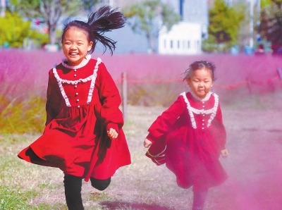 花海映蓝天 美景惹人醉
