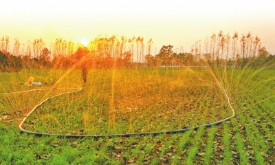 豫将基本完成756万亩新建高标准农田项目