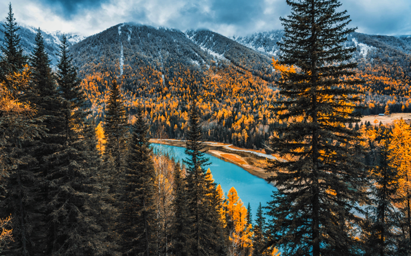 原来，真正厉害的调色师在这里！