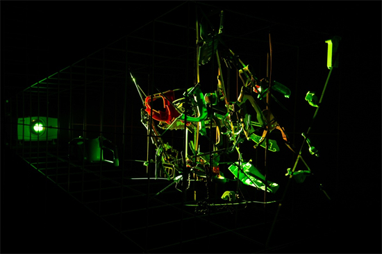 环球同此凉热 当代艺术家共倡保护自然