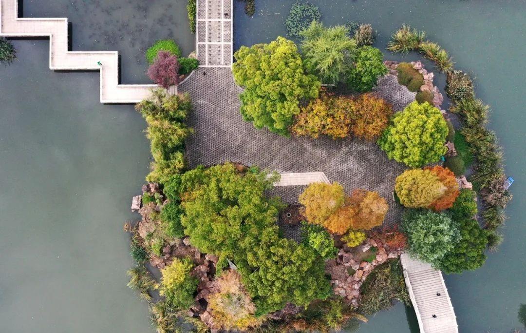 安徽巢湖：初冬時節 景色美如畫