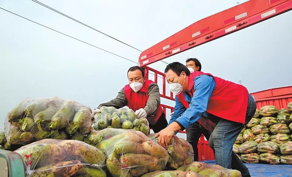 河南7条措施保“大动脉”物流通畅