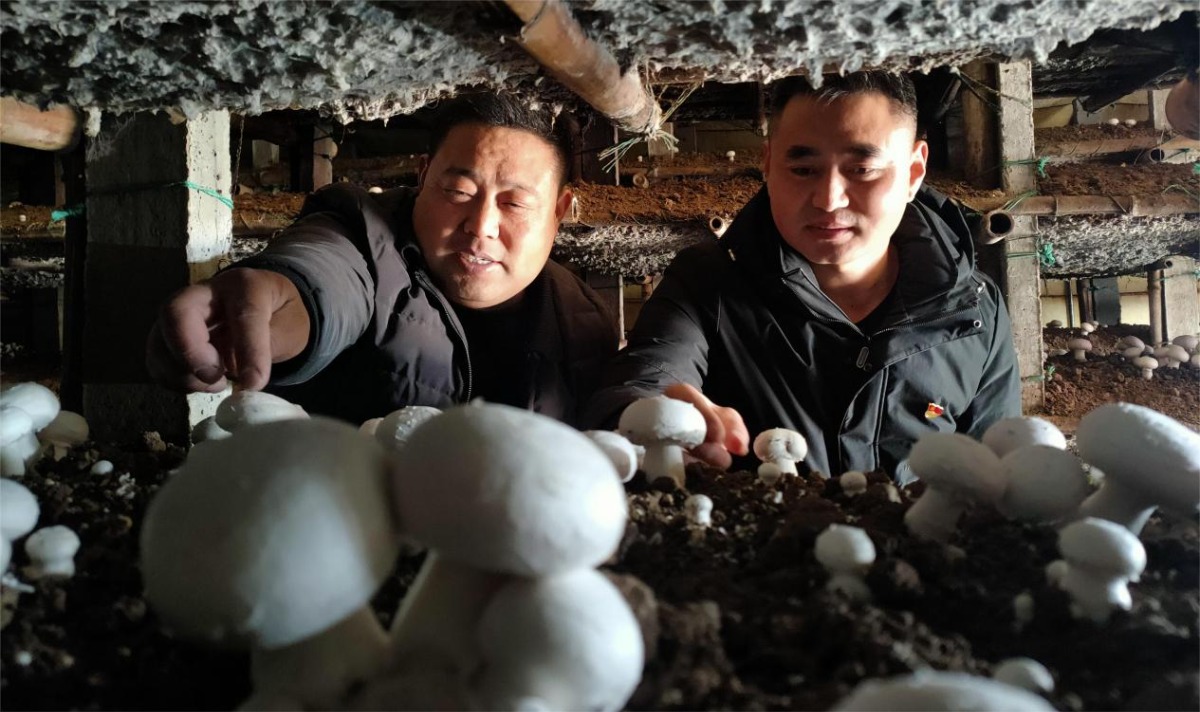 杞县：保障蔬菜促销稳得住运得出销得畅