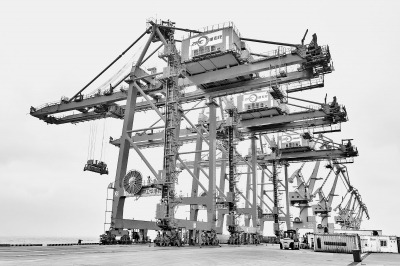 新乡 决战四季度 项目加速度