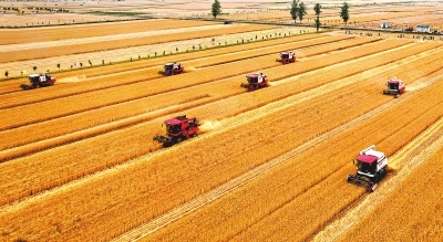 再次迈1350亿斤台阶 2022年河南粮食总产量1357.87亿斤