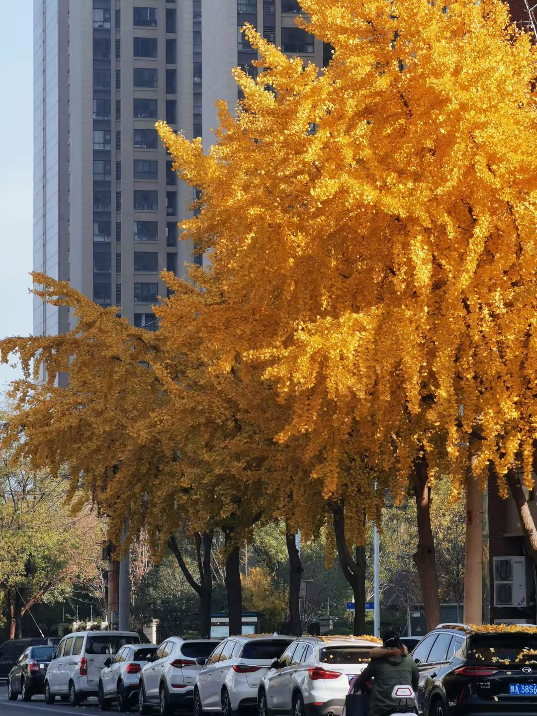 前11个月 “河南造”汽车出口额增长1.81倍