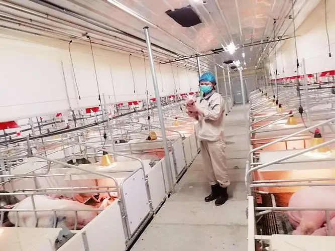 牧原集团：蹚出一条智慧养殖新路