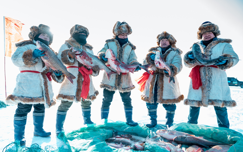 达人西游 | 踏雪寻鱼 来乌伦古湖沾福气