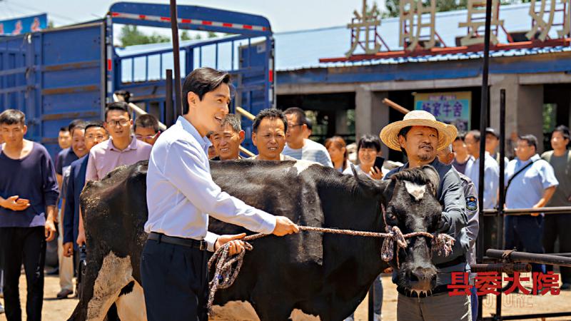 现实题材/《县委大院》群像塑造出色