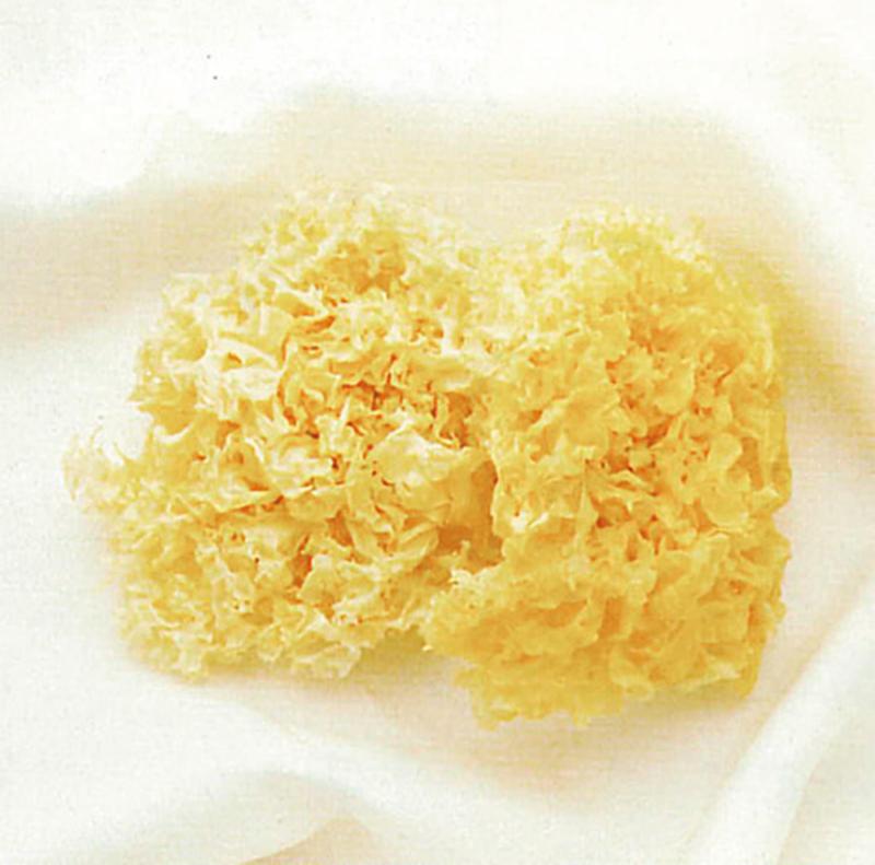 ﻿冰糖银耳茅根银花汤