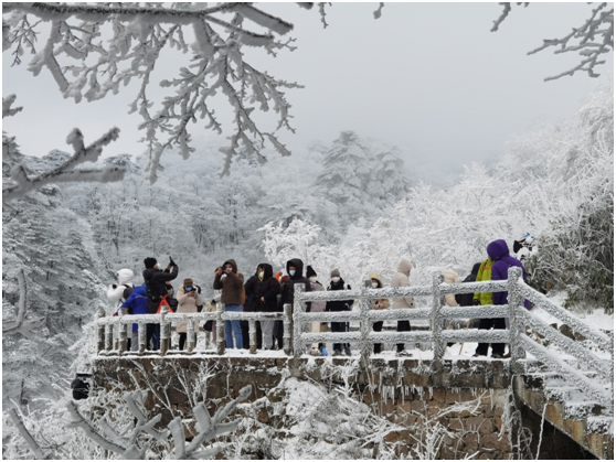 黃山春節旅遊緣何火出圈？