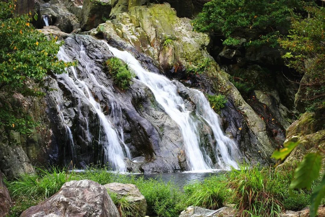 早春出游龙津溪地！约一场美妙的春日旅行吧