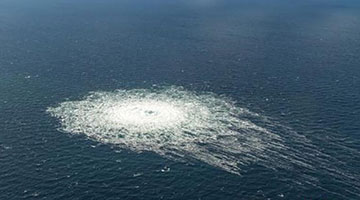 炸毁北溪“愚蠢至极” 他发挥重要作用！美资深调查记者再爆料