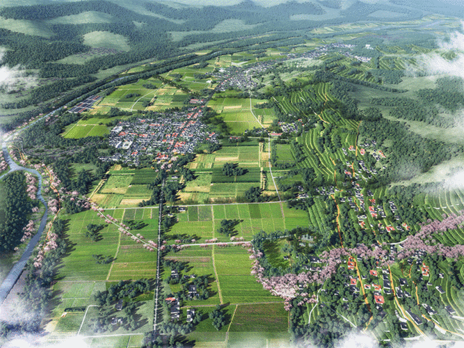 河南1.95万个村有了村庄规划