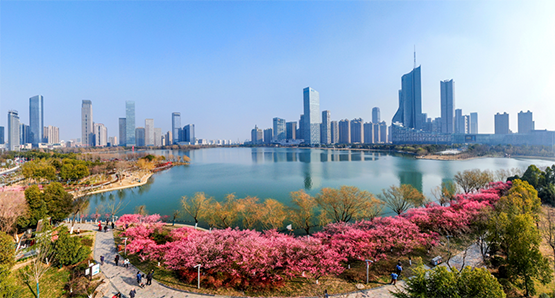 合肥：市民園長「走馬上任」參與公園治理