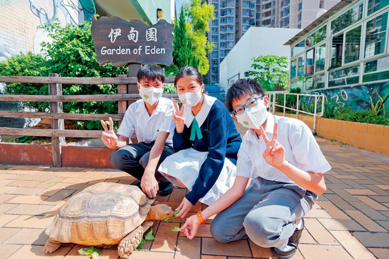 小记者手记/担任环保大使 令我大开眼界