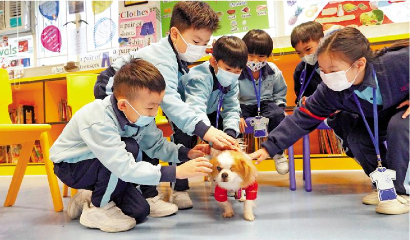 阳光校园巡礼/仁济医院赵曾学韫小学 愉快学习 校园生活多姿彩