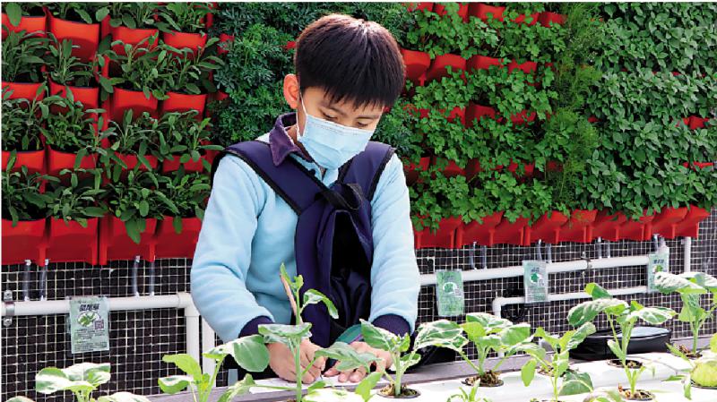 学校里的景物\5C 陈玉明