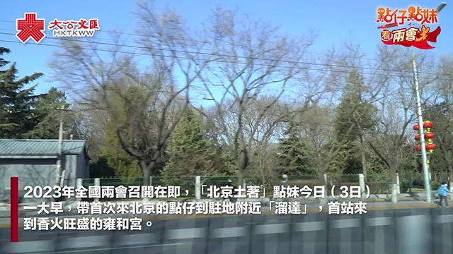 两会Vlog | 雍和宫何许宫也?为何成年轻人打卡点?