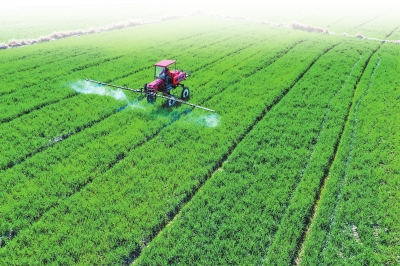 将展会开在麦田边，吸引千余名农民观摩学习