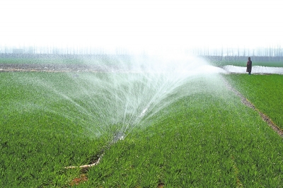 农业强省加速跑 不负农时不负春