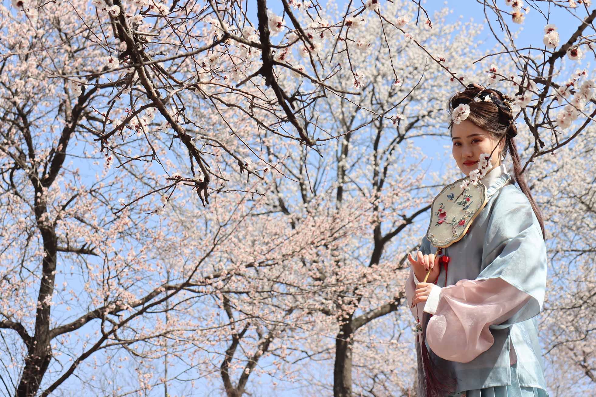 汝州杏花旅游文化节开幕 人如潮涌车如龙