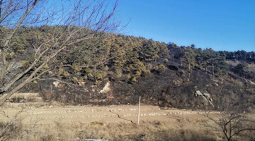 辽宁凌源发生森林火情 警方：系人为点火烧荒引起