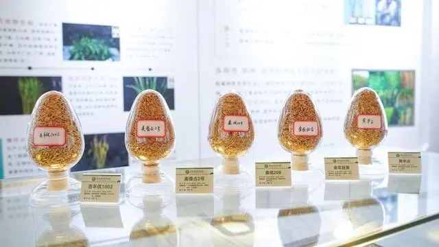 2022年度河南省农作物种质资源十大成果公布