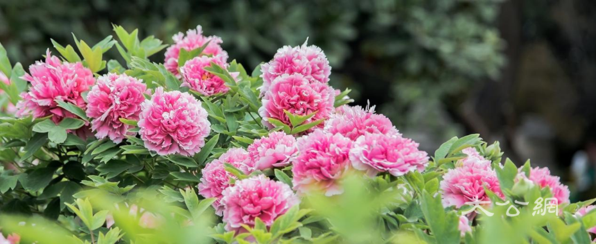 1679632369751993.png 圖片9.png