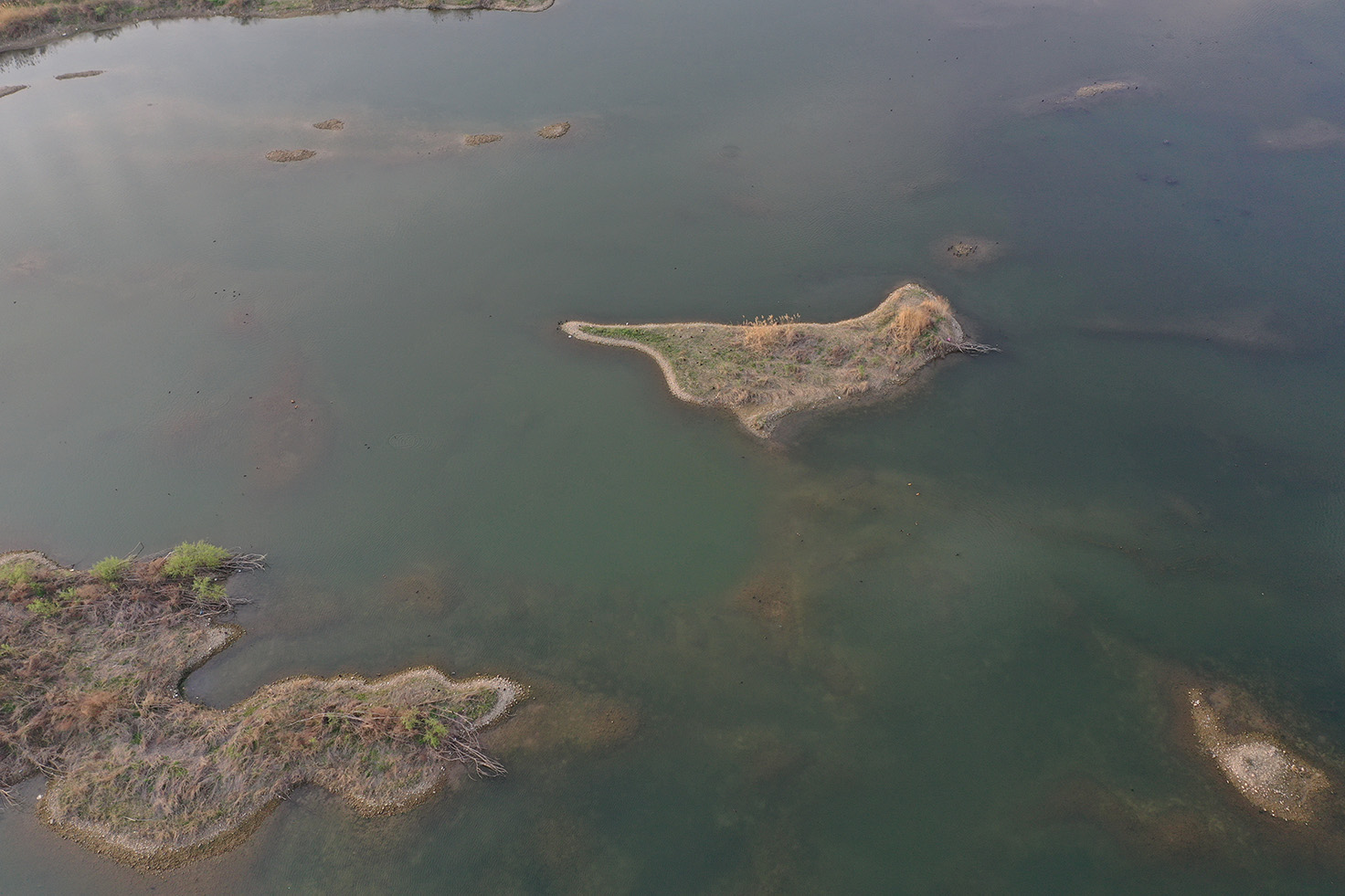 洛陽：伊河河床上驚現「神鳥」圖案