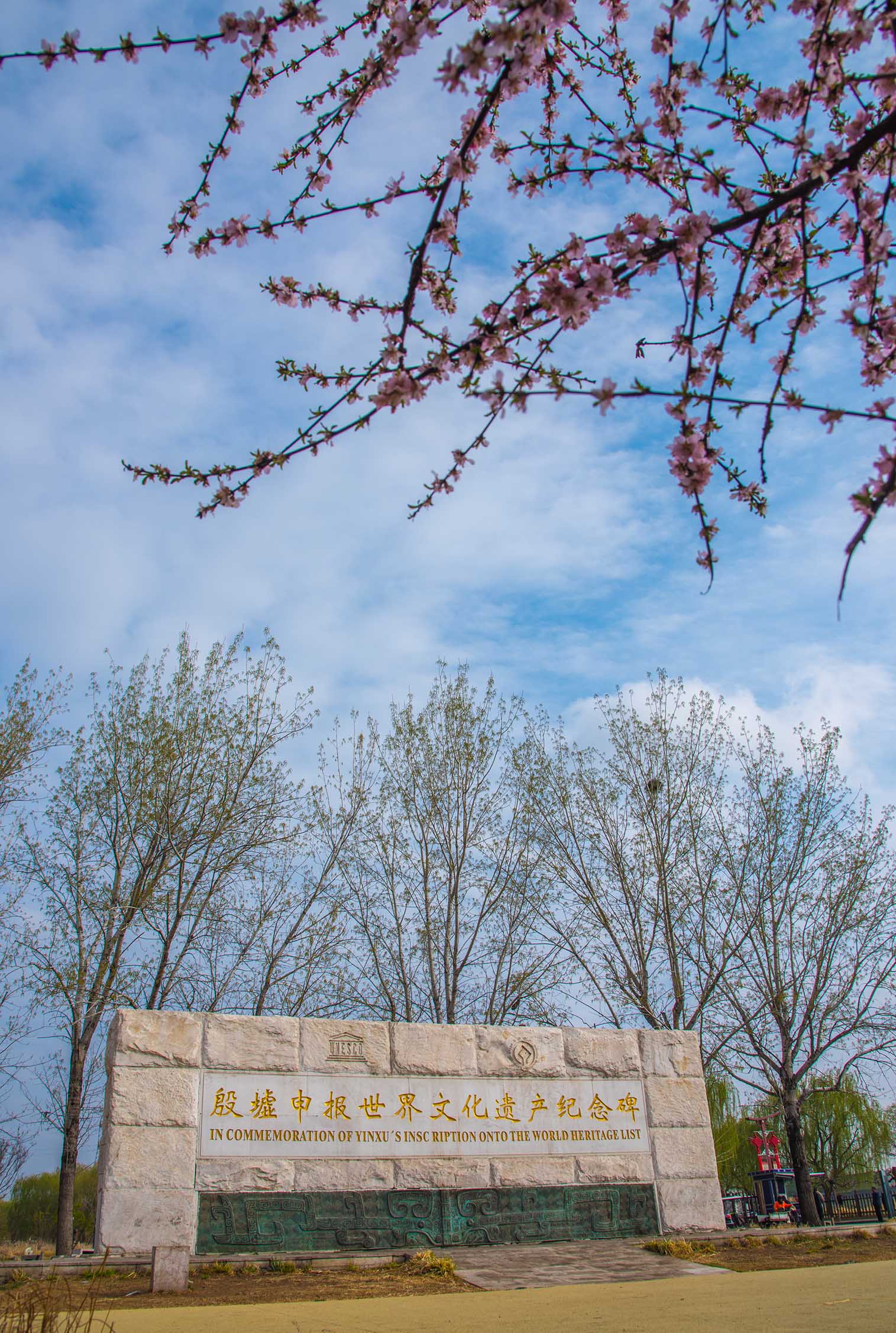 河南安阳 ：殷墟国家考古遗址公园春日风光醉游人