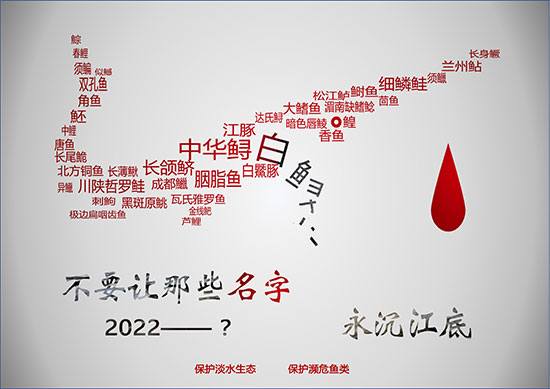 优秀创意奖《不要让那些名字永沉江底》