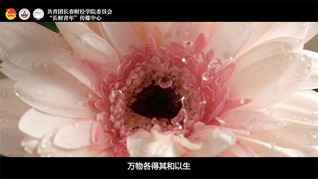 三等奖《构建地球生命共同体》