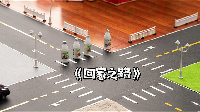 优秀制作水平奖《回家之路》