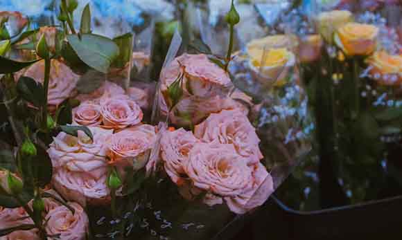 中牟县首届「槐花·露营季」启动 邀游客趣野漫游