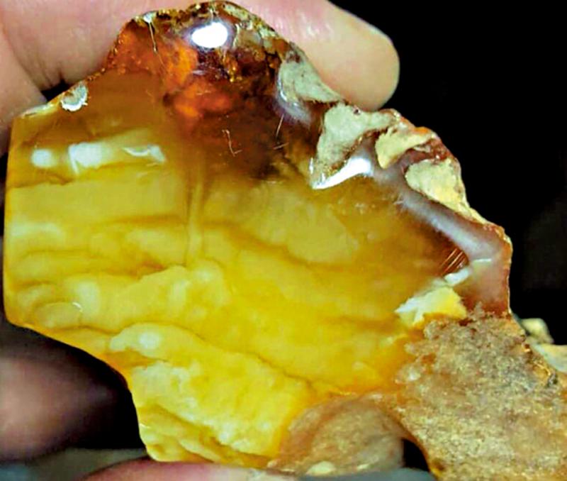 ﻿琥珀种类产地有学问