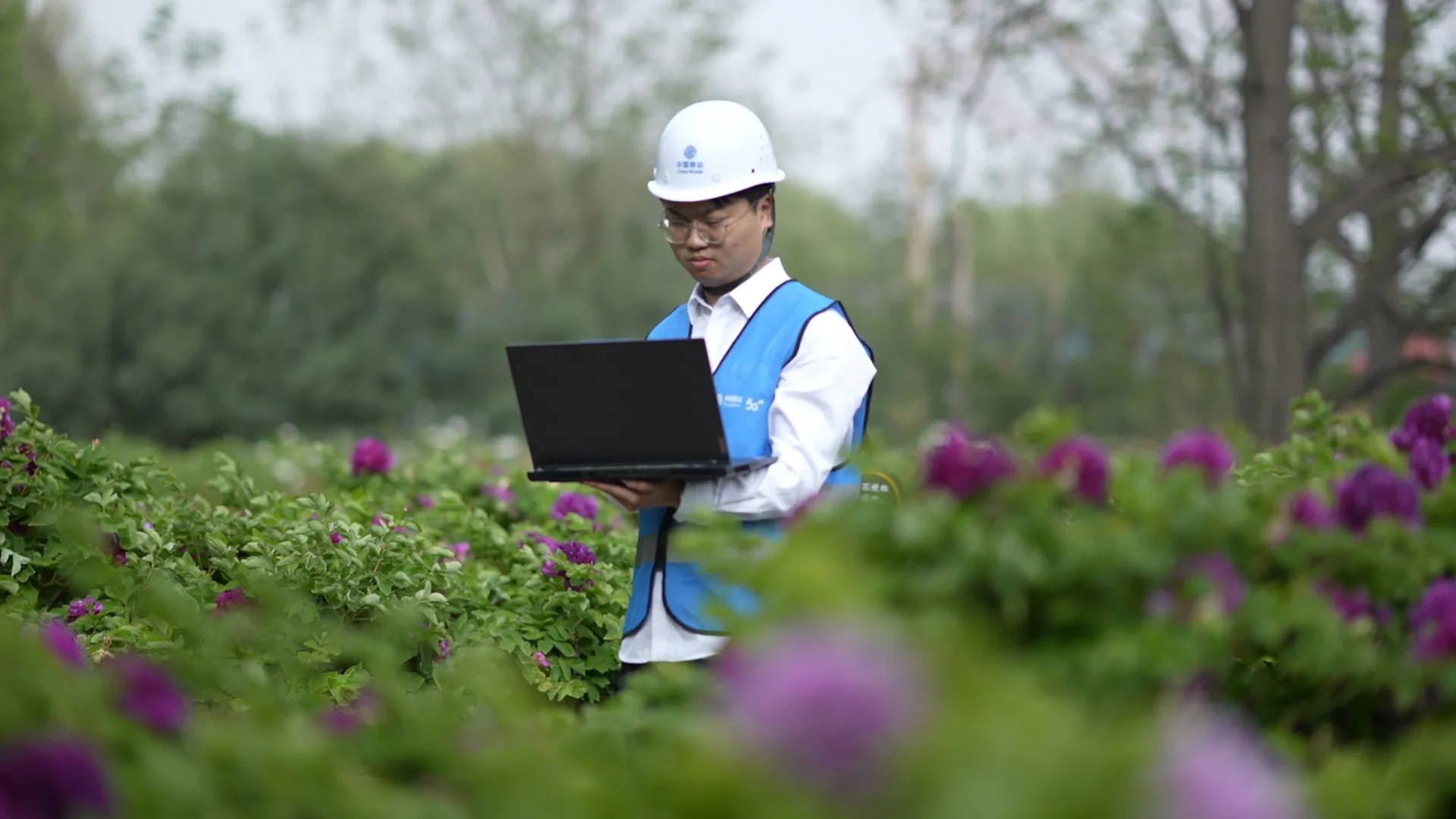 5G加持，让牡丹文化流光“移”彩｜河南移动力保洛阳牡丹文化节通信畅通