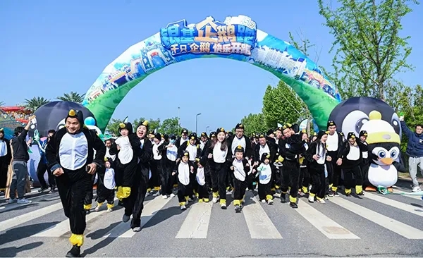 五一將至 企鵝來了 河南鄭州銀基度假區再添新潮