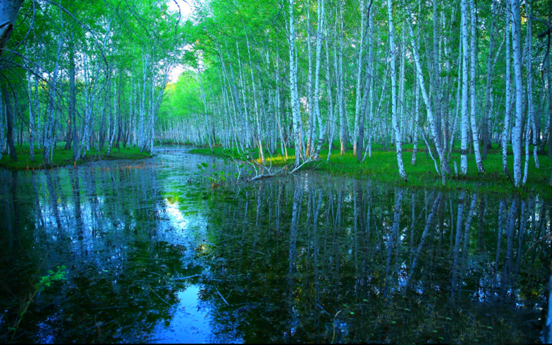 迎“五一” 疆内旅游线路已上新