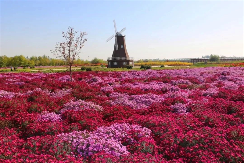 “五一”假期去哪儿玩？新疆旅游优惠“大礼包”先收好