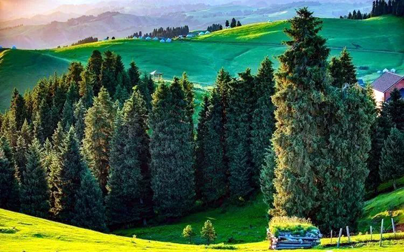 抄作业啦！满满干货的“五一”出游攻略（北疆篇）