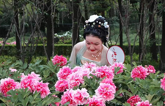 洛陽「五一」出圈！五天636.69萬人次 旅遊收入52.39億元！