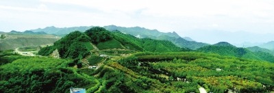 洛阳钼业：打造全球履责典范