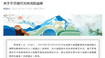 女子向大熊貓投擲玉米芯 成都熊貓谷通報：終生禁入