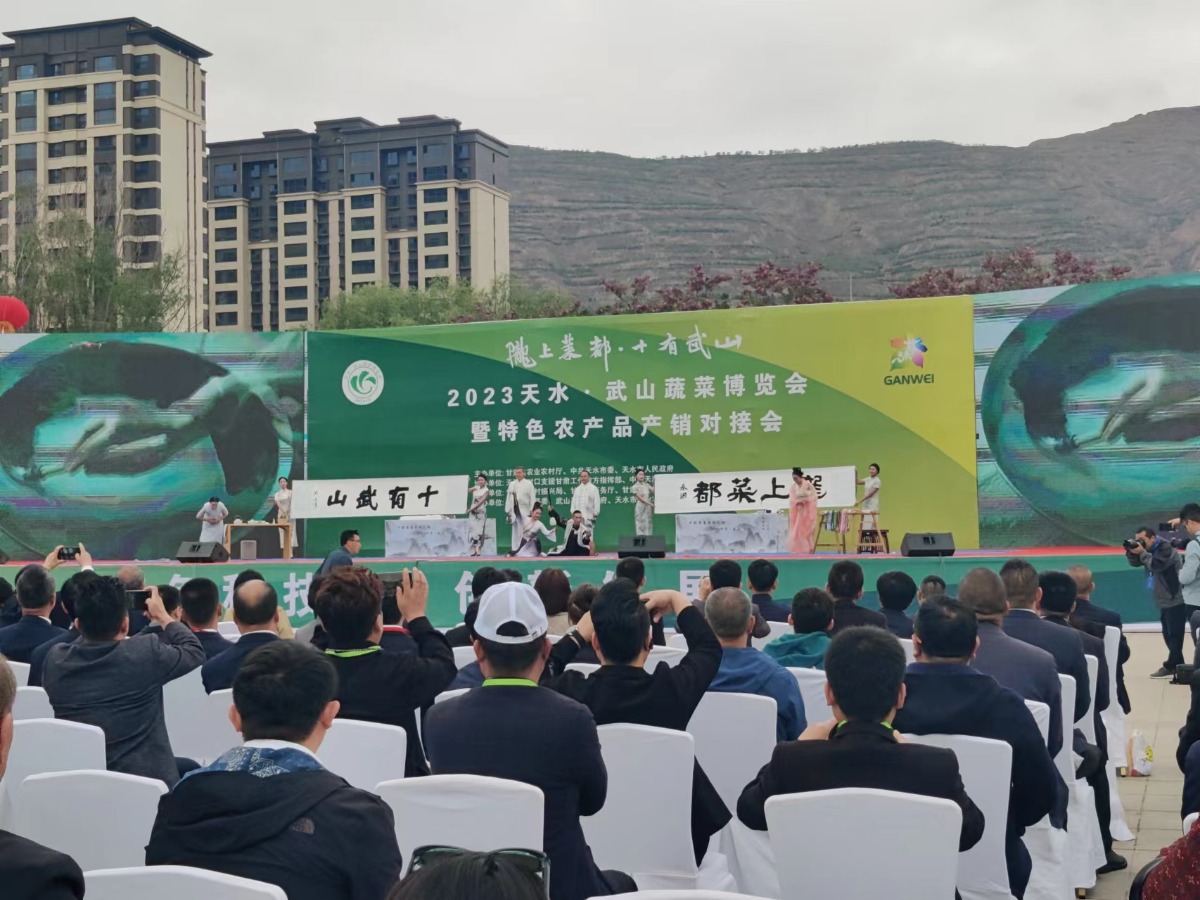 甘肃武山：蔬菜产业推动县域经济发展