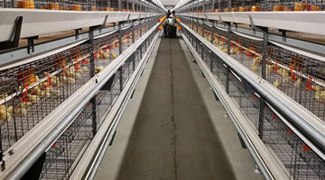 99款婴幼儿配方产品配方注册获批