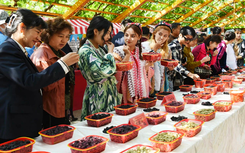 2023吐鲁番桑葚节盛大开幕
